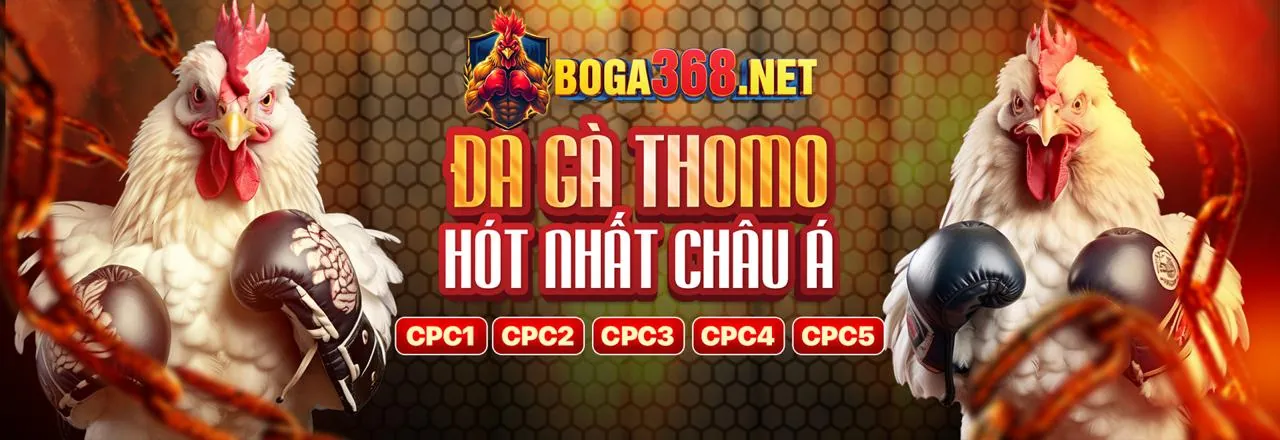 Tổng quan về 32win hiện đang mở, nền tảng cá cược hàng đầu